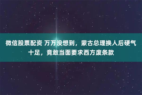 微信股票配资 万万没想到,蒙古总理换人后硬气十足,竟敢当面要求西方废条款